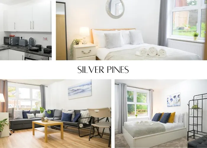Silver Pines King Bed 2 Bedroom Apartment